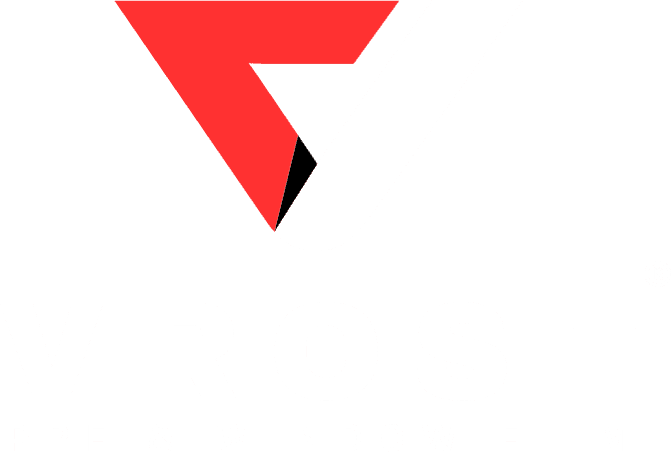 VROST — PPF & Window Film